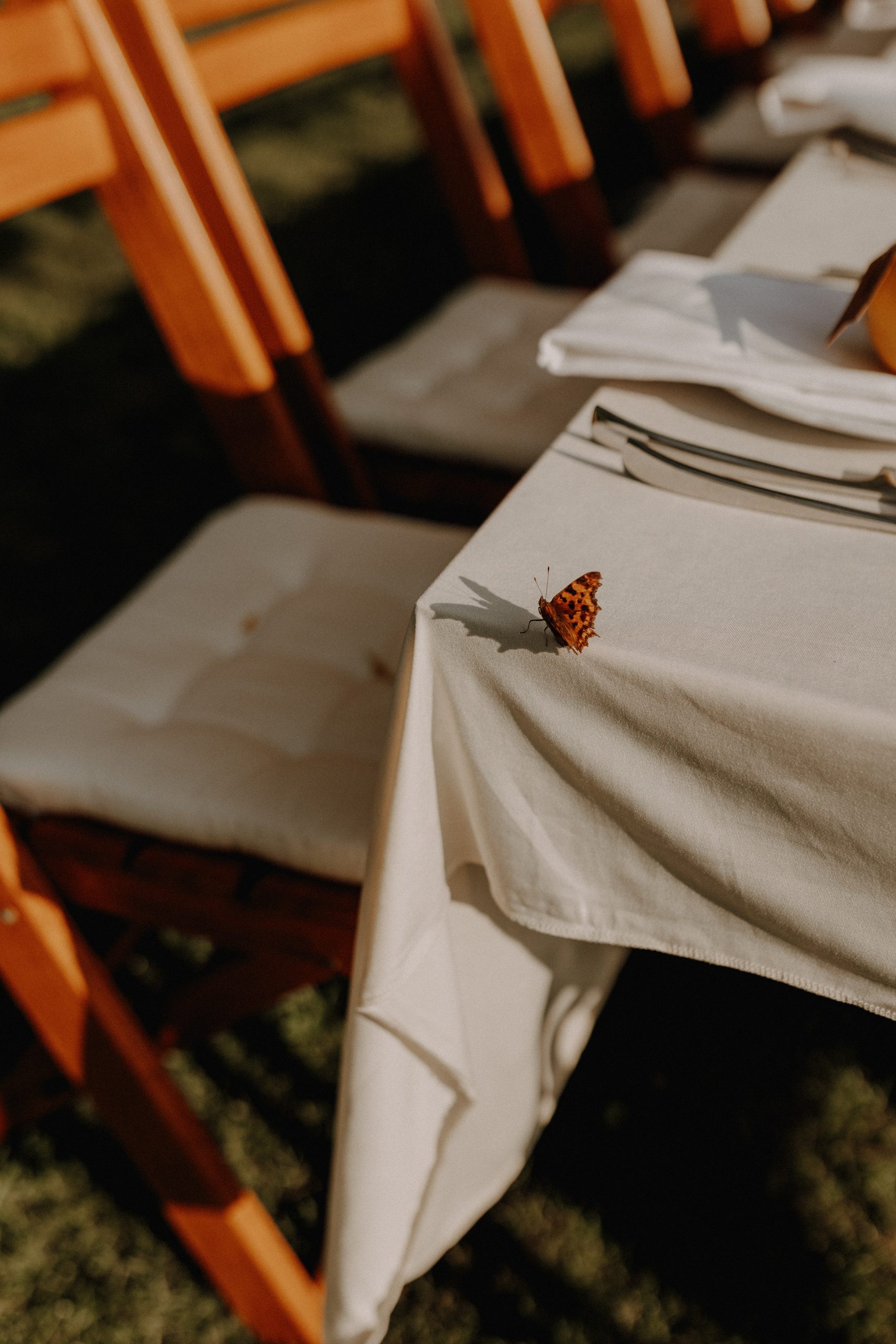 Hochzeitsfotografin, Hochzeitsfotograf, Wedding Photographer, Paderborn, Höxter